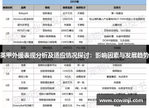 英甲外援表现分析及适应情况探讨：影响因素与发展趋势