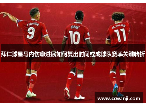 拜仁球星马内伤愈进展如何复出时间或成球队赛季关键转折