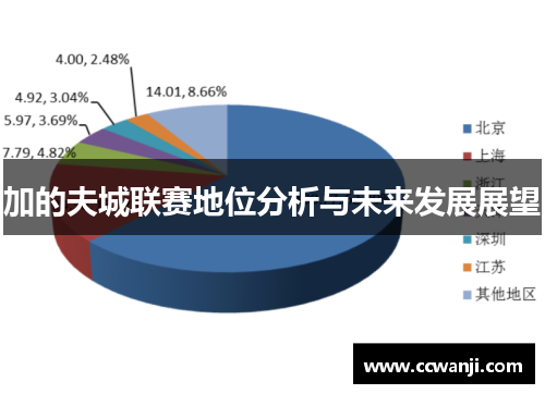 加的夫城联赛地位分析与未来发展展望